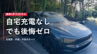 森の駐車場に停めたテスラModel Y 自宅充電なしで1年3万キロ走った実録