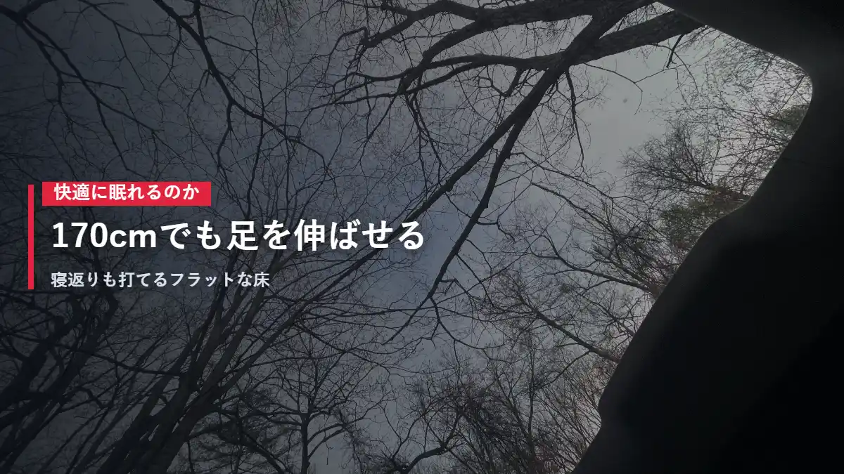 テスラModel Yのガラスルーフ越しに見える木々と空 車中泊の朝