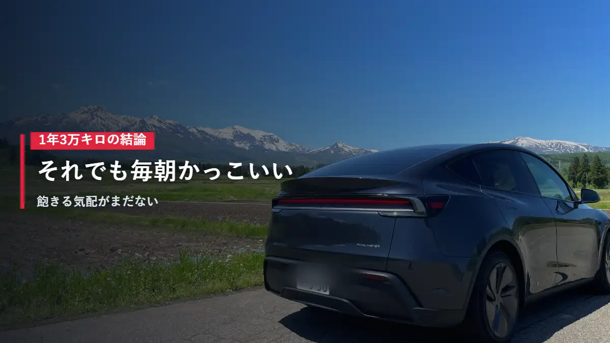 雪山を背に停まるテスラModel Y 1年3万キロ乗った結論