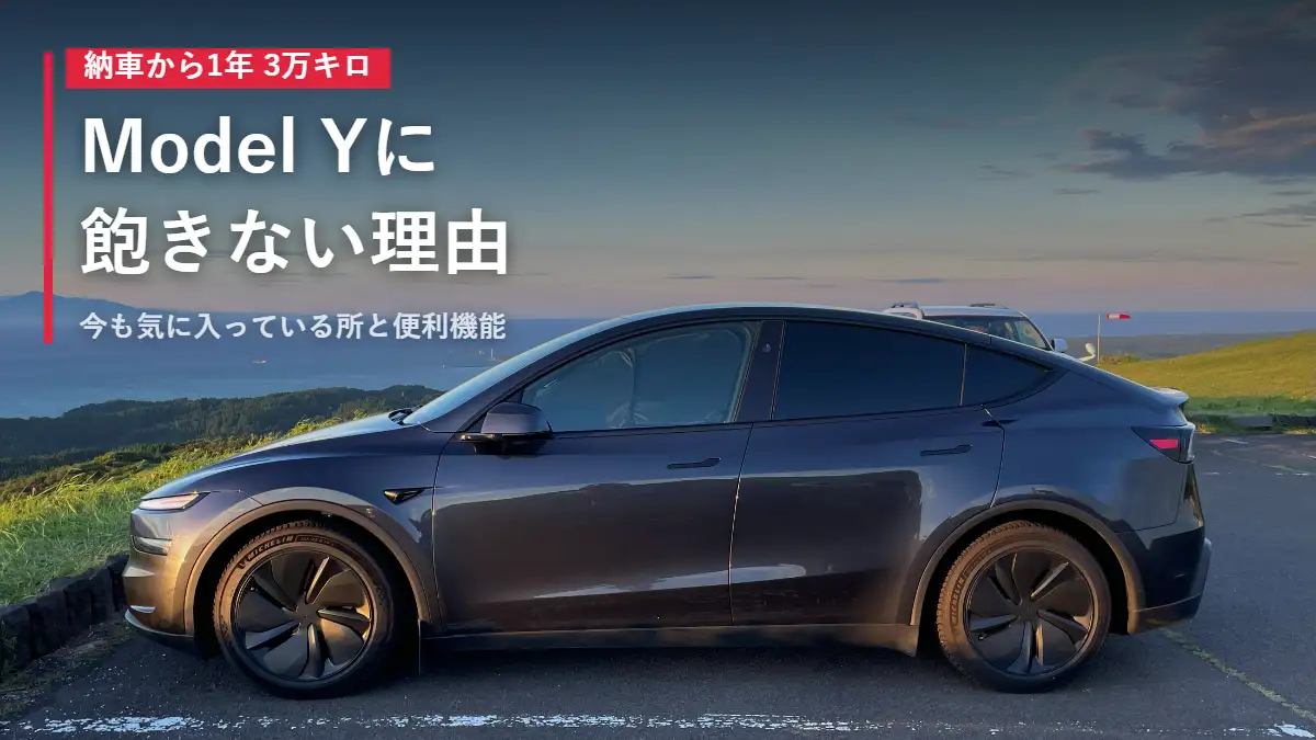 夕暮れの丘に停まるテスラModel Yの横姿 1年3万キロ乗っても飽きない理由